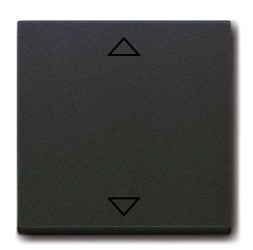 Клавиша ABB Future антрацит для механизма электронного выключателя Busch-Jalousiecontrol 6411 U-101 6411 U/S-101 6418 U реле 6402 U 2CKA006430A0326 6430-81-102