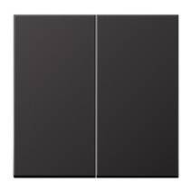 Клавиша для двойного выключателя Jung ECO Profi черная матовая EP495SWM