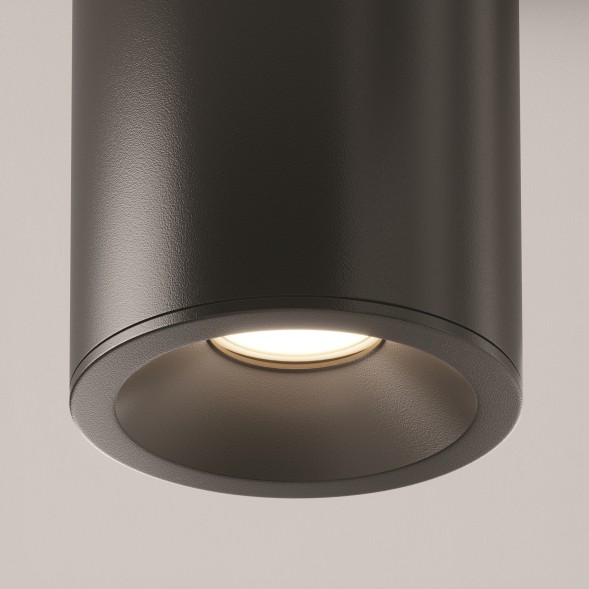 Потолочный светильник Technical C029CL-01B