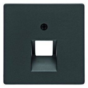 Центральная панель Berker R.1 Berker Q.1 для розетки UAE Q.1 14076086