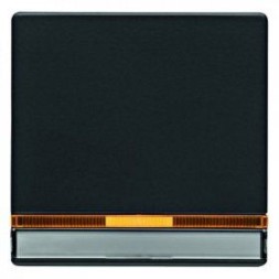 Клавиша выключателя с линзой Berker Q.1 16286086