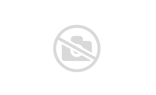 Накладка выключателя Gira двойная 0915112