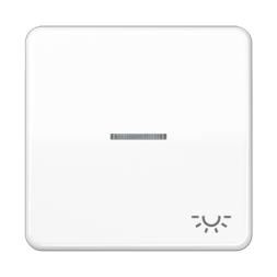 Клавиша Jung CD серия Белый 1-я с/п с символом &quot;ОСВЕЩЕНИЕ&quot; CD590KO5LWW