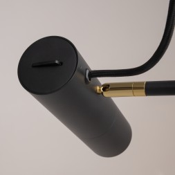 Напольный светильник (торшер) Maytoni MOD129FL-01B