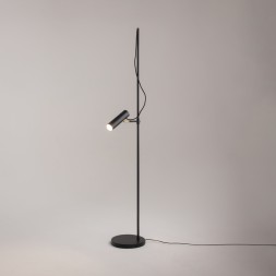 Напольный светильник (торшер) Maytoni MOD129FL-01B