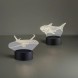 Аккумуляторный светильник Freya FR6147TL-L5B1