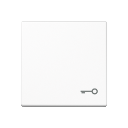 Клавиша Jung A серия Белый одинарная с символом &quot;КЛЮЧ&quot; A590TWW