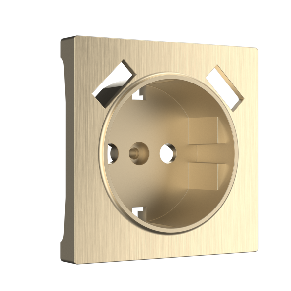 Накладка  для розетки USB (шампань рифленый) Werkel W1179510