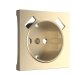 Накладка  для розетки USB (шампань рифленый) Werkel W1179510