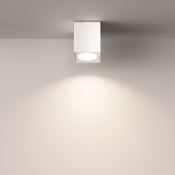 Потолочный светильник Technical C030CL-01W