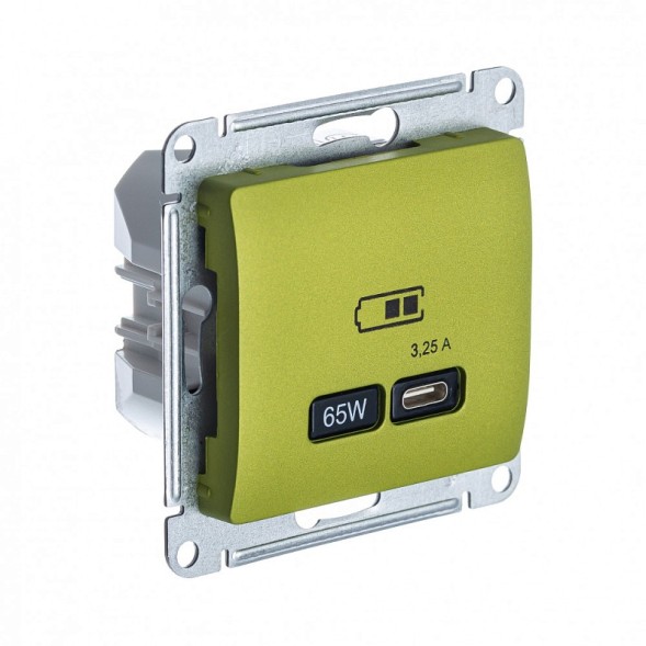 USB Розетка тип-C 65W высокоскор.заряд. QC, PD, механизм Schneider Electric Glossa Фисташковый GSL001027