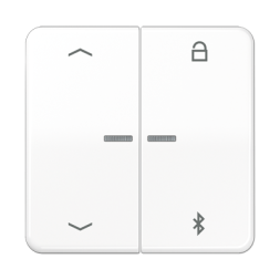 Таймер Jung CD серия белый универсальный Bluetooth «стрелки» CD1751PBTWW