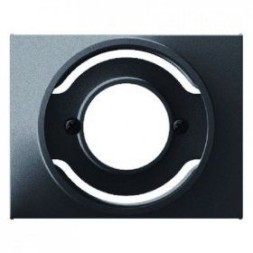 Центральная панель Berker R.1 Berker K.1 антрацит матовый для светового сигнала Е14 11677006