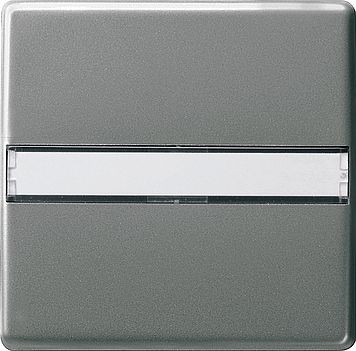 Одинарная клавиша Gira E22 Сталь с полем для надписи 029920