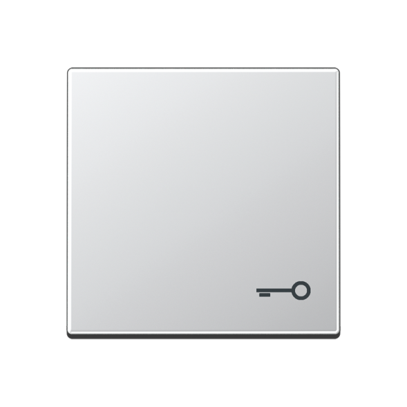 Клавиша Jung A серия Алюминий 1-я с символом &quot;КЛЮЧ&quot; A590TAL